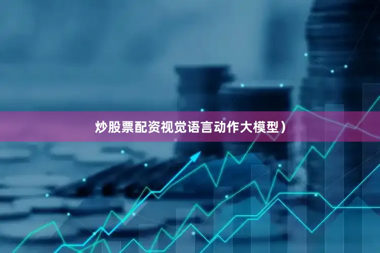 炒股票配资视觉语言动作大模型）